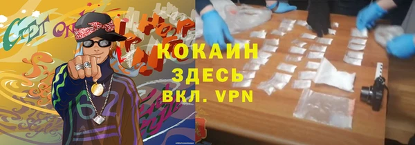 гидра Новодвинск