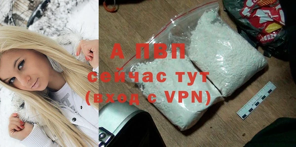 a pvp Новозыбков